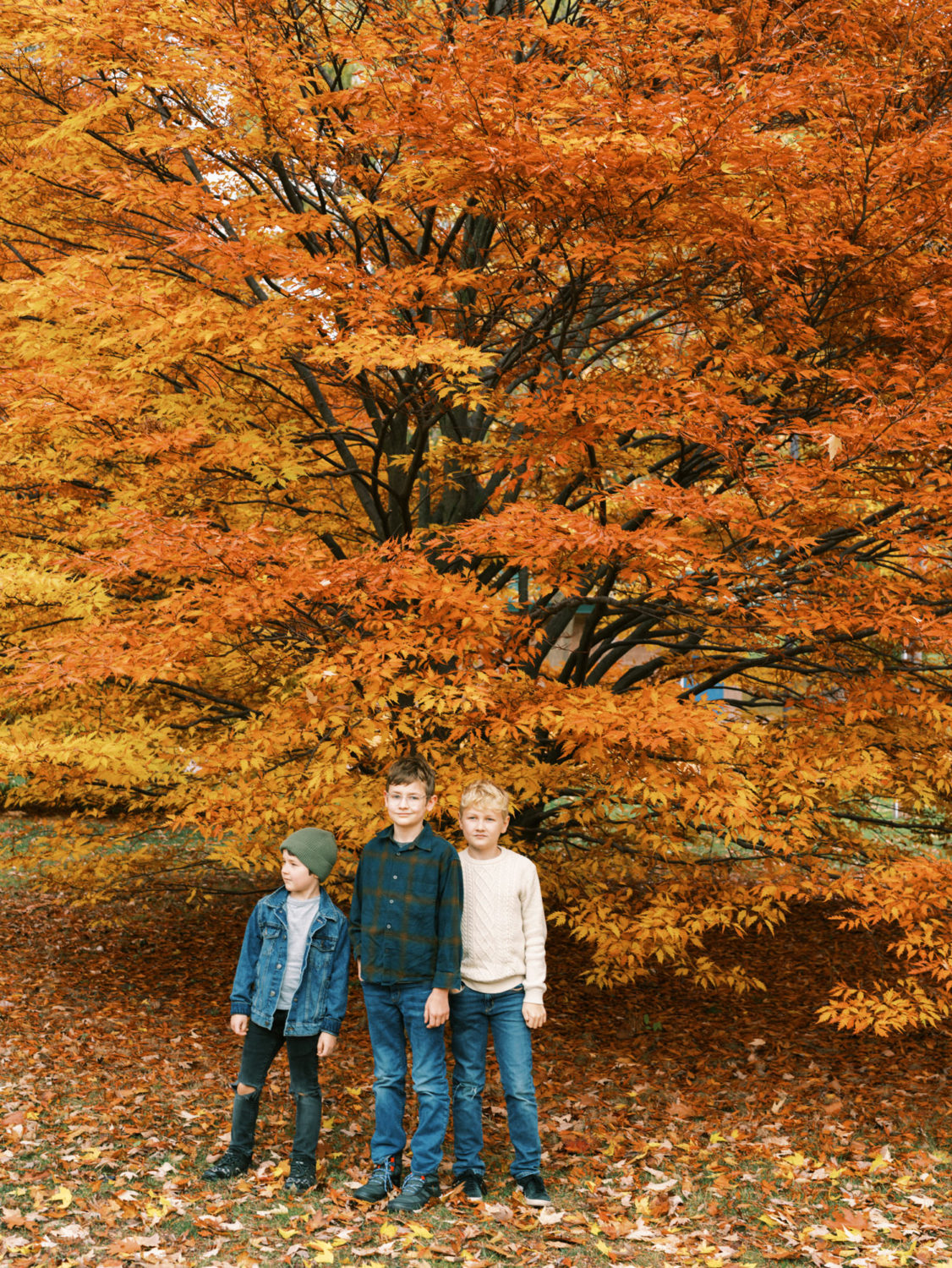 three brothers standing looking serious in front of big bright orange fall tree.