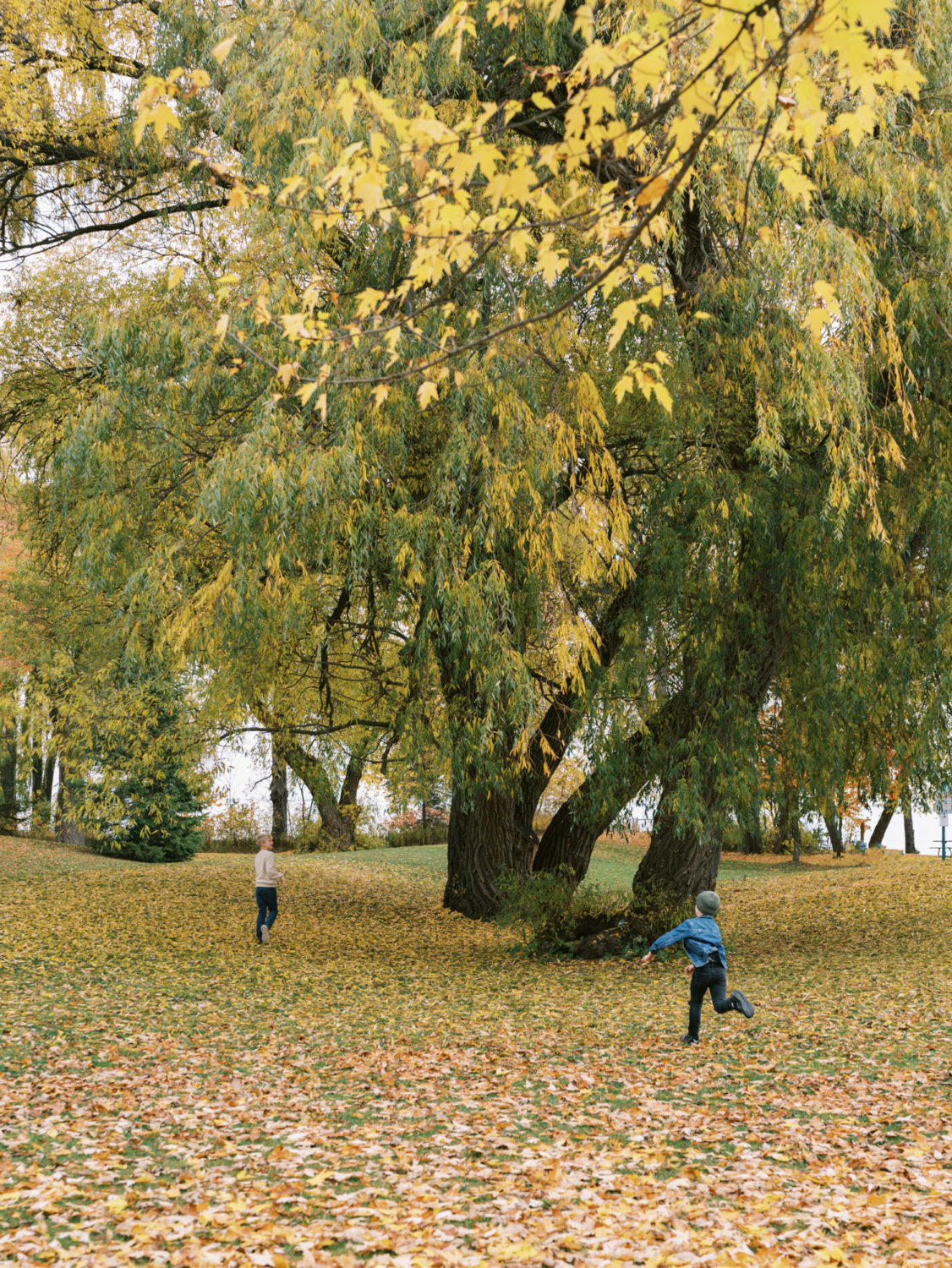 kids running through fall leaves under a tree at richard's memorial park