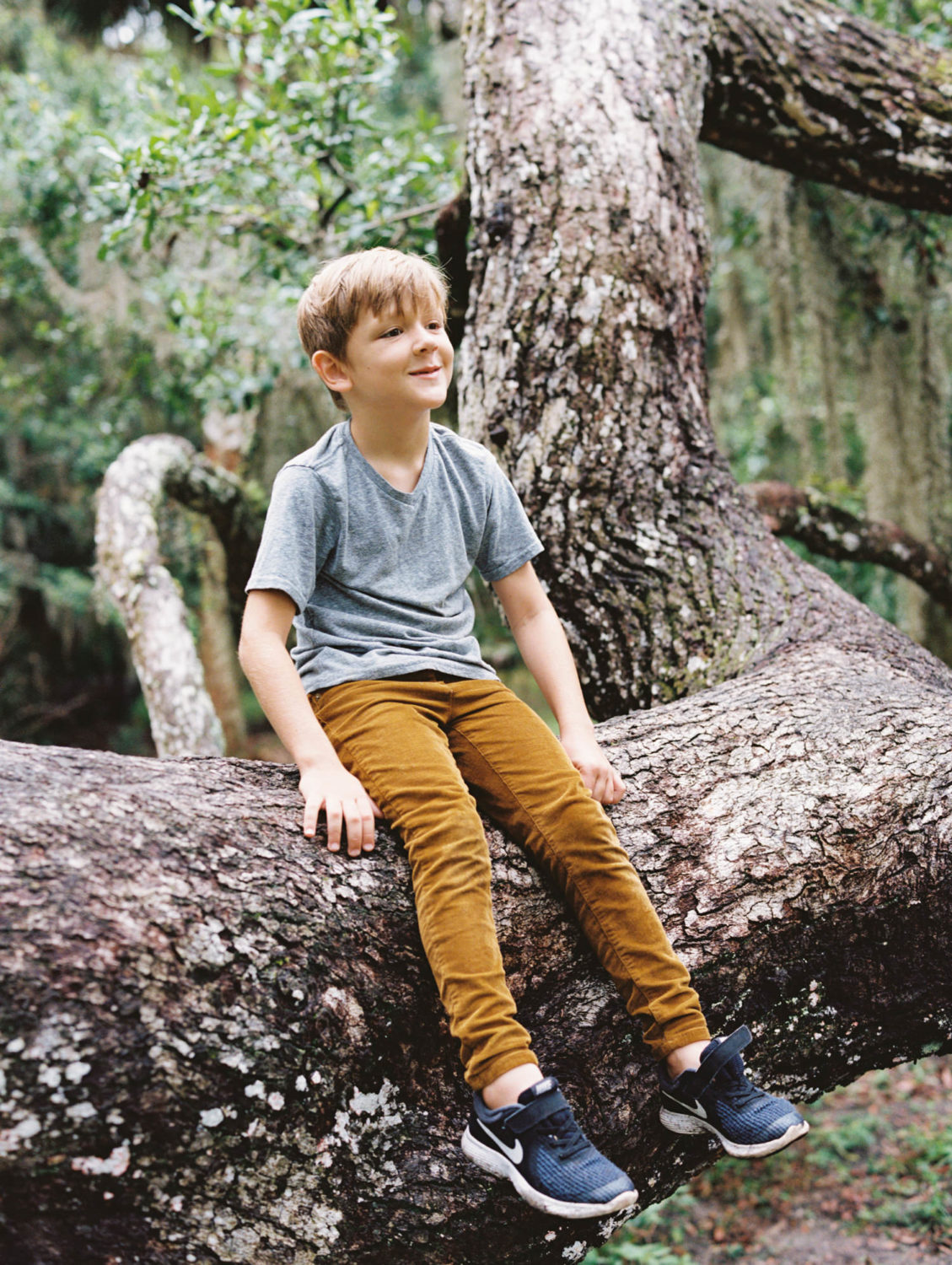 young boy in gray shirt and brown pants smiling and sitting on a large tree branch