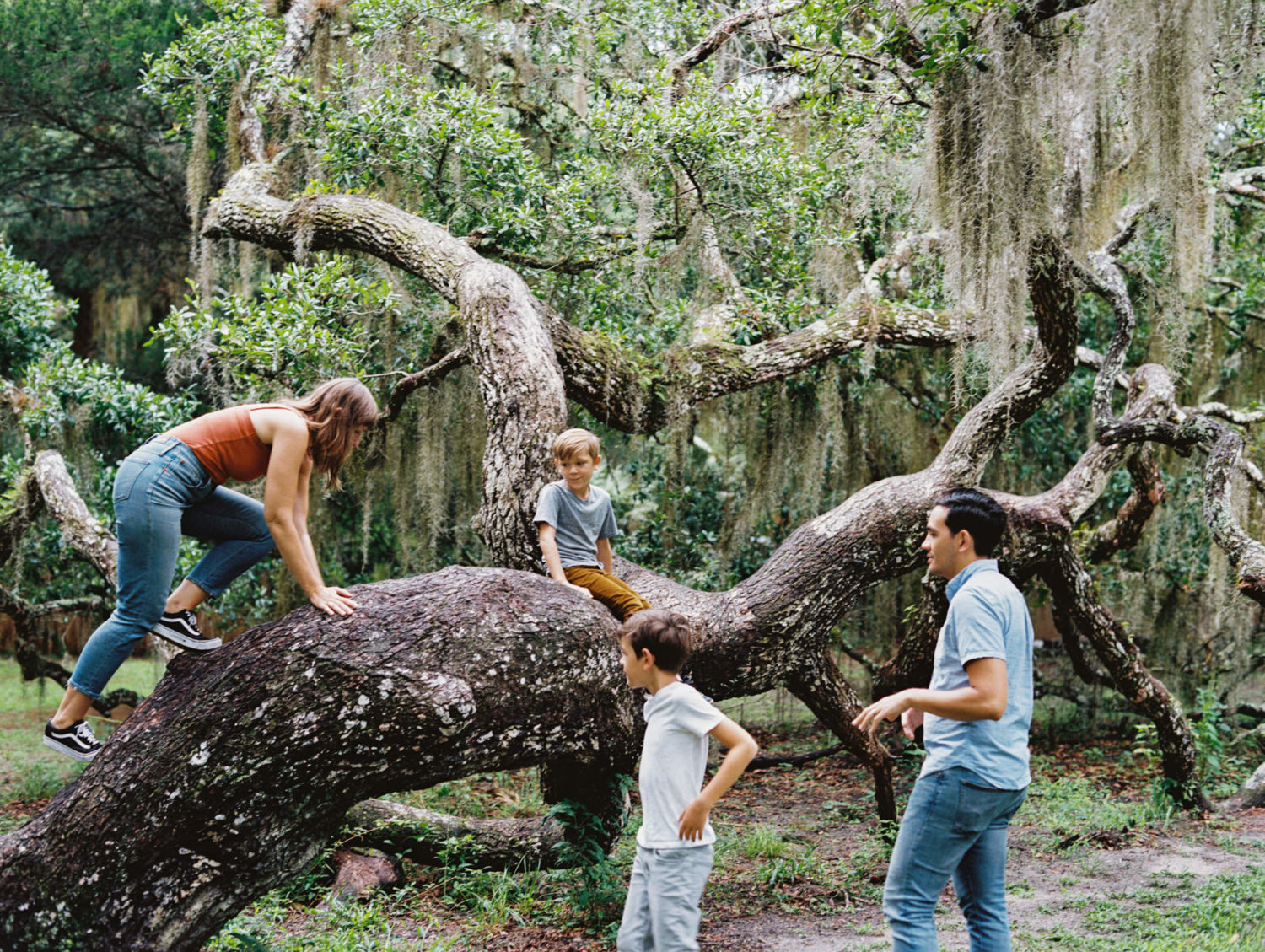 family of four climbing a mossy old oak tree during cloudy summer day