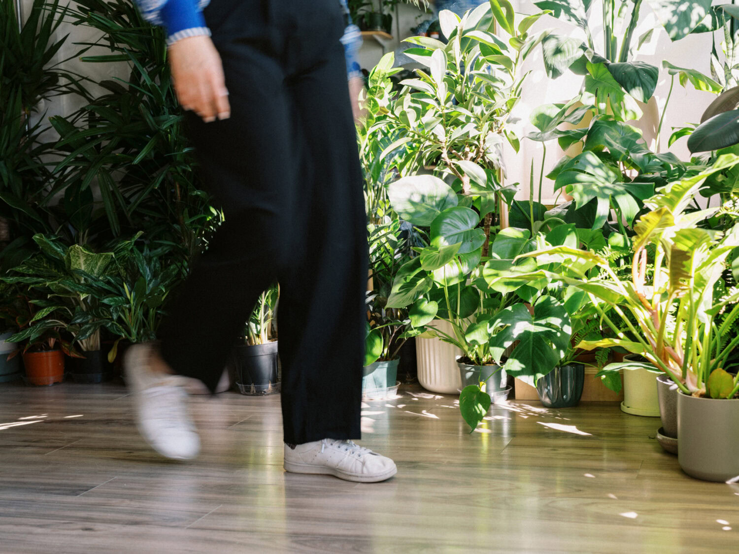 a person in black pants walking by a large group of houseplants