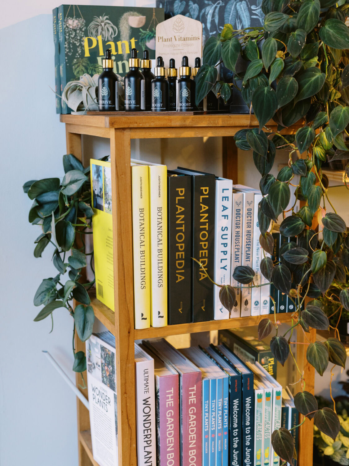 wooden bookshelf with colorful botanical books, plant food, and a climbing plant in a houseplant shop