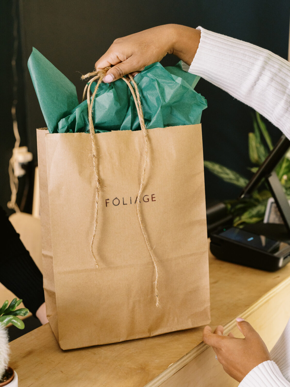 brown paper bag and green tissue paper from foliage housplant store being lifted up