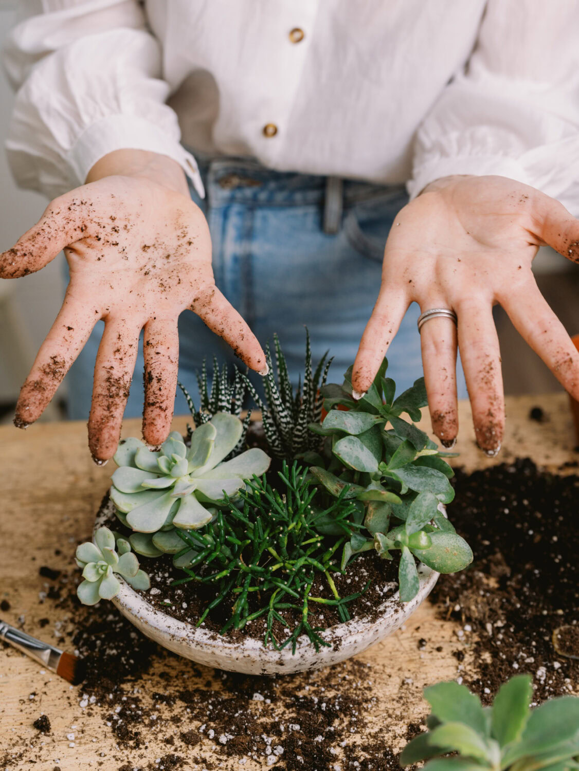 person showing the dirt on their hands after planting an arrangement of succulents.