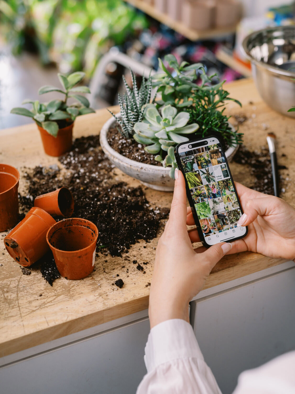 Person scrolling on their phone with a mess of empty pots, dirt and plants on the counter in front of them.